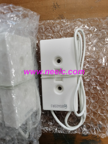 RX27-8 80W20RJ New resistance